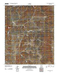 Turkey Ridge SW New Mexico Historical topographic map, 1:24000 scale, 7.5 X 7.5 Minute, Year 2010