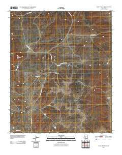 Turkey Ridge SW New Mexico Historical topographic map, 1:24000 scale, 7.5 X 7.5 Minute, Year 2010