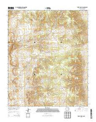Turkey Ridge SW New Mexico Historical topographic map, 1:24000 scale, 7.5 X 7.5 Minute, Year 2013
