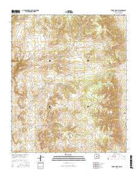 Turkey Ridge SW New Mexico Current topographic map, 1:24000 scale, 7.5 X 7.5 Minute, Year 2017