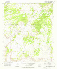 Twentytwo Spring New Mexico Historical topographic map, 1:24000 scale, 7.5 X 7.5 Minute, Year 1972