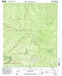 Twin Sisters New Mexico Historical topographic map, 1:24000 scale, 7.5 X 7.5 Minute, Year 1999