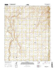Twin Mesa NW New Mexico Current topographic map, 1:24000 scale, 7.5 X 7.5 Minute, Year 2017