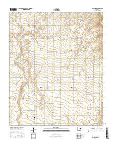 Twin Mesa NW New Mexico Current topographic map, 1:24000 scale, 7.5 X 7.5 Minute, Year 2017