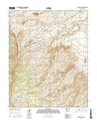 Two Grey Hills New Mexico Current topographic map, 1:24000 scale, 7.5 X 7.5 Minute, Year 2017