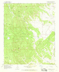 Underwood Lake New Mexico Historical topographic map, 1:24000 scale, 7.5 X 7.5 Minute, Year 1965