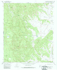 Underwood Lake New Mexico Historical topographic map, 1:24000 scale, 7.5 X 7.5 Minute, Year 1965