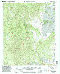 Underwood Lake New Mexico Historical topographic map, 1:24000 scale, 7.5 X 7.5 Minute, Year 1999