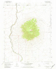 Ute Mountain New Mexico Historical topographic map, 1:24000 scale, 7.5 X 7.5 Minute, Year 1963
