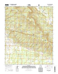 Valle Largo New Mexico Historical topographic map, 1:24000 scale, 7.5 X 7.5 Minute, Year 2013
