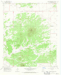 Veteado Mountain New Mexico Historical topographic map, 1:24000 scale, 7.5 X 7.5 Minute, Year 1967