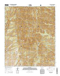 Vicks Peak New Mexico Historical topographic map, 1:24000 scale, 7.5 X 7.5 Minute, Year 2013