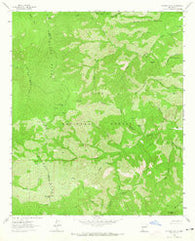 Victoria Park New Mexico Historical topographic map, 1:24000 scale, 7.5 X 7.5 Minute, Year 1963