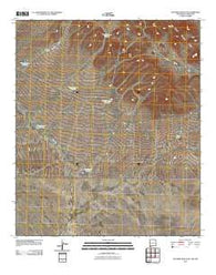 Victorio Ranch SE New Mexico Historical topographic map, 1:24000 scale, 7.5 X 7.5 Minute, Year 2010