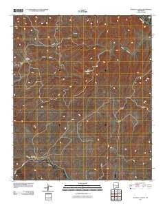 Wahalee Canyon New Mexico Historical topographic map, 1:24000 scale, 7.5 X 7.5 Minute, Year 2010