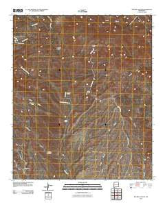 Walker Canyon New Mexico Historical topographic map, 1:24000 scale, 7.5 X 7.5 Minute, Year 2010