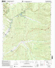 Wall Lake New Mexico Historical topographic map, 1:24000 scale, 7.5 X 7.5 Minute, Year 1999