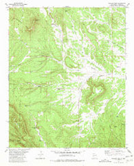 Wallace Mesa New Mexico Historical topographic map, 1:24000 scale, 7.5 X 7.5 Minute, Year 1981