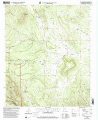 Wallace Mesa New Mexico Historical topographic map, 1:24000 scale, 7.5 X 7.5 Minute, Year 1999
