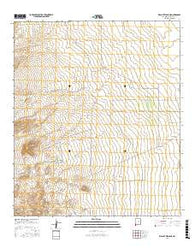 Walnut Wells NE New Mexico Current topographic map, 1:24000 scale, 7.5 X 7.5 Minute, Year 2017