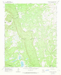Washington Pass New Mexico Historical topographic map, 1:24000 scale, 7.5 X 7.5 Minute, Year 1966