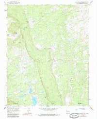 Washington Pass New Mexico Historical topographic map, 1:24000 scale, 7.5 X 7.5 Minute, Year 1966