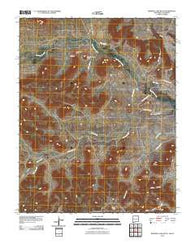 Wedding Cake Butte New Mexico Historical topographic map, 1:24000 scale, 7.5 X 7.5 Minute, Year 2010