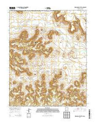 Wedding Cake Butte New Mexico Historical topographic map, 1:24000 scale, 7.5 X 7.5 Minute, Year 2013