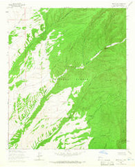 Welty Hill New Mexico Historical topographic map, 1:24000 scale, 7.5 X 7.5 Minute, Year 1964