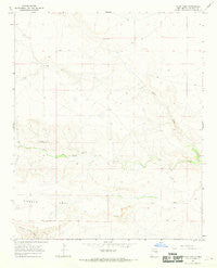 West Camp New Mexico Historical topographic map, 1:24000 scale, 7.5 X 7.5 Minute, Year 1966
