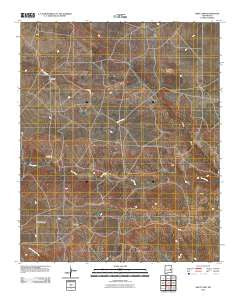 West Camp New Mexico Historical topographic map, 1:24000 scale, 7.5 X 7.5 Minute, Year 2010