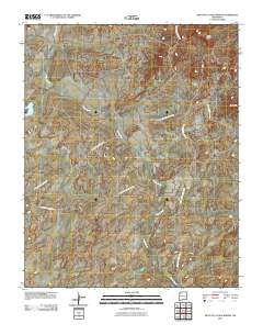 West of La Vida Mission New Mexico Historical topographic map, 1:24000 scale, 7.5 X 7.5 Minute, Year 2010