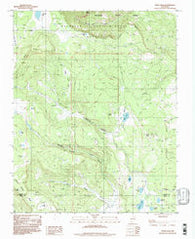 White Peak New Mexico Historical topographic map, 1:24000 scale, 7.5 X 7.5 Minute, Year 1994