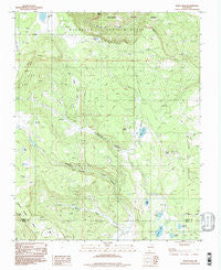 White Peak New Mexico Historical topographic map, 1:24000 scale, 7.5 X 7.5 Minute, Year 1994