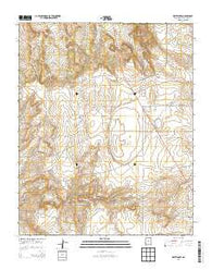White Lakes New Mexico Historical topographic map, 1:24000 scale, 7.5 X 7.5 Minute, Year 2013