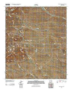 White Signal New Mexico Historical topographic map, 1:24000 scale, 7.5 X 7.5 Minute, Year 2010