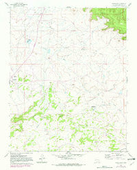Whitehorse New Mexico Historical topographic map, 1:24000 scale, 7.5 X 7.5 Minute, Year 1961
