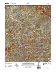 Whitehorse New Mexico Historical topographic map, 1:24000 scale, 7.5 X 7.5 Minute, Year 2010