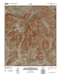 Whitehorse Mountain New Mexico Historical topographic map, 1:24000 scale, 7.5 X 7.5 Minute, Year 2010