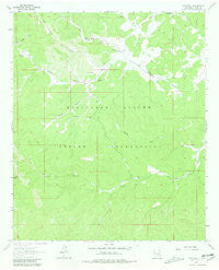 Whitetail New Mexico Historical topographic map, 1:24000 scale, 7.5 X 7.5 Minute, Year 1963