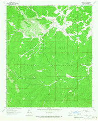 Whitetail New Mexico Historical topographic map, 1:24000 scale, 7.5 X 7.5 Minute, Year 1963