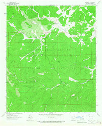 Whitetail New Mexico Historical topographic map, 1:24000 scale, 7.5 X 7.5 Minute, Year 1963