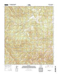 Whitetail New Mexico Current topographic map, 1:24000 scale, 7.5 X 7.5 Minute, Year 2013