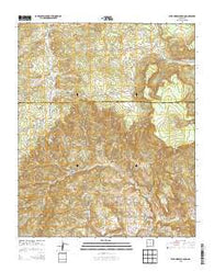 Wild Horse Canyon New Mexico Historical topographic map, 1:24000 scale, 7.5 X 7.5 Minute, Year 2013