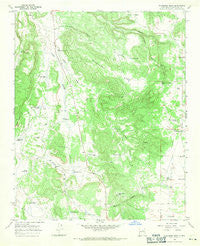 Wildhorse Mesa New Mexico Historical topographic map, 1:24000 scale, 7.5 X 7.5 Minute, Year 1966