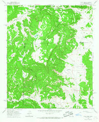 Wiley Mesa New Mexico Historical topographic map, 1:24000 scale, 7.5 X 7.5 Minute, Year 1964