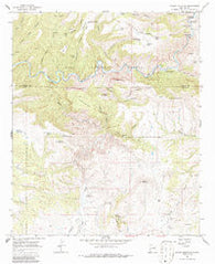 Wilson Mountain New Mexico Historical topographic map, 1:24000 scale, 7.5 X 7.5 Minute, Year 1965