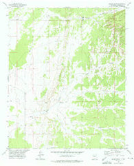 Wilson Ranch New Mexico Historical topographic map, 1:24000 scale, 7.5 X 7.5 Minute, Year 1972