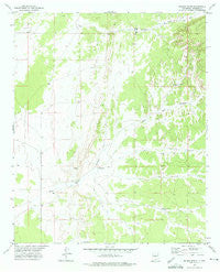 Wilson Ranch New Mexico Historical topographic map, 1:24000 scale, 7.5 X 7.5 Minute, Year 1972