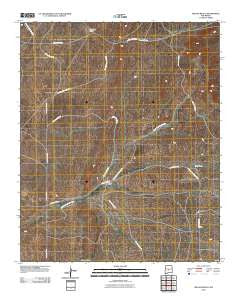 Wilson Ranch New Mexico Historical topographic map, 1:24000 scale, 7.5 X 7.5 Minute, Year 2010